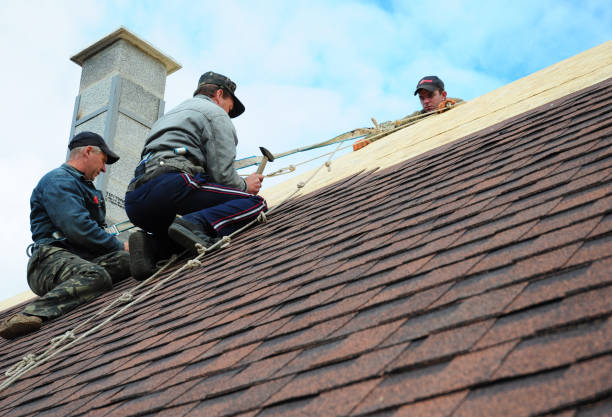 Best Roof Maintenance Services  in Westport, WA